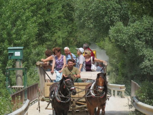 Pogled na vse strani je zanimiv